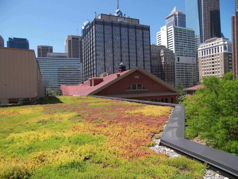 paysagiste-BARGEMON-min_green-roof-portfolio-4